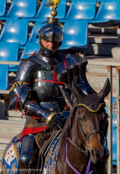 Medieval Knight – Joust – Abbey Medieval Festival – QLD