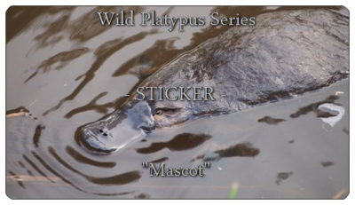 -Wild Platypus Series-
