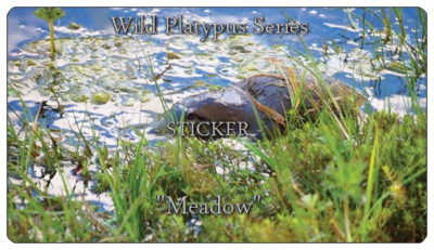 -Wild Platypus Series- “Kermandie”- MEADOW – Matt Finished – STICKER